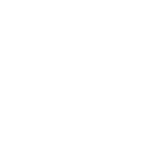 Le logo de DEEP INSIDE.