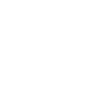 Le logo de SECRETS HUNTERS.